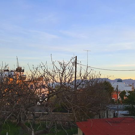 Hotel Aegina Bagian luar foto